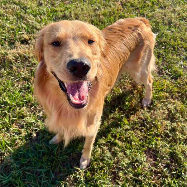 Our Finley Fund