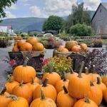 Equinox Valley Nursery