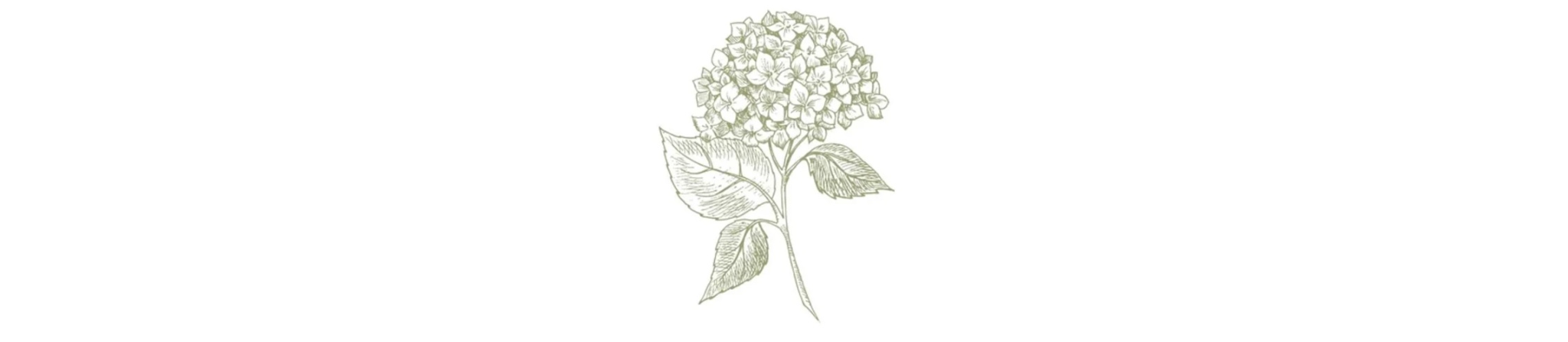 The Wedding Website of Athenas Contreras and Jack Peoples