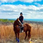 Horseback Riding