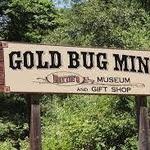 Gold Bug Park & Mine