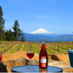 Explore the Wineries in Hood River