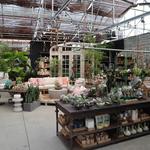 Terrain Gardens of Doylestown
