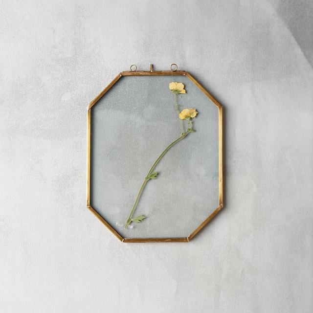 Brass Octagon Specimen Frame, Medium