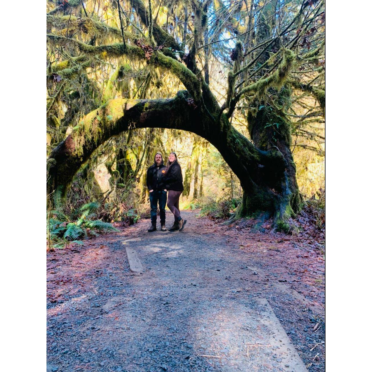 Olympic National Park, WA