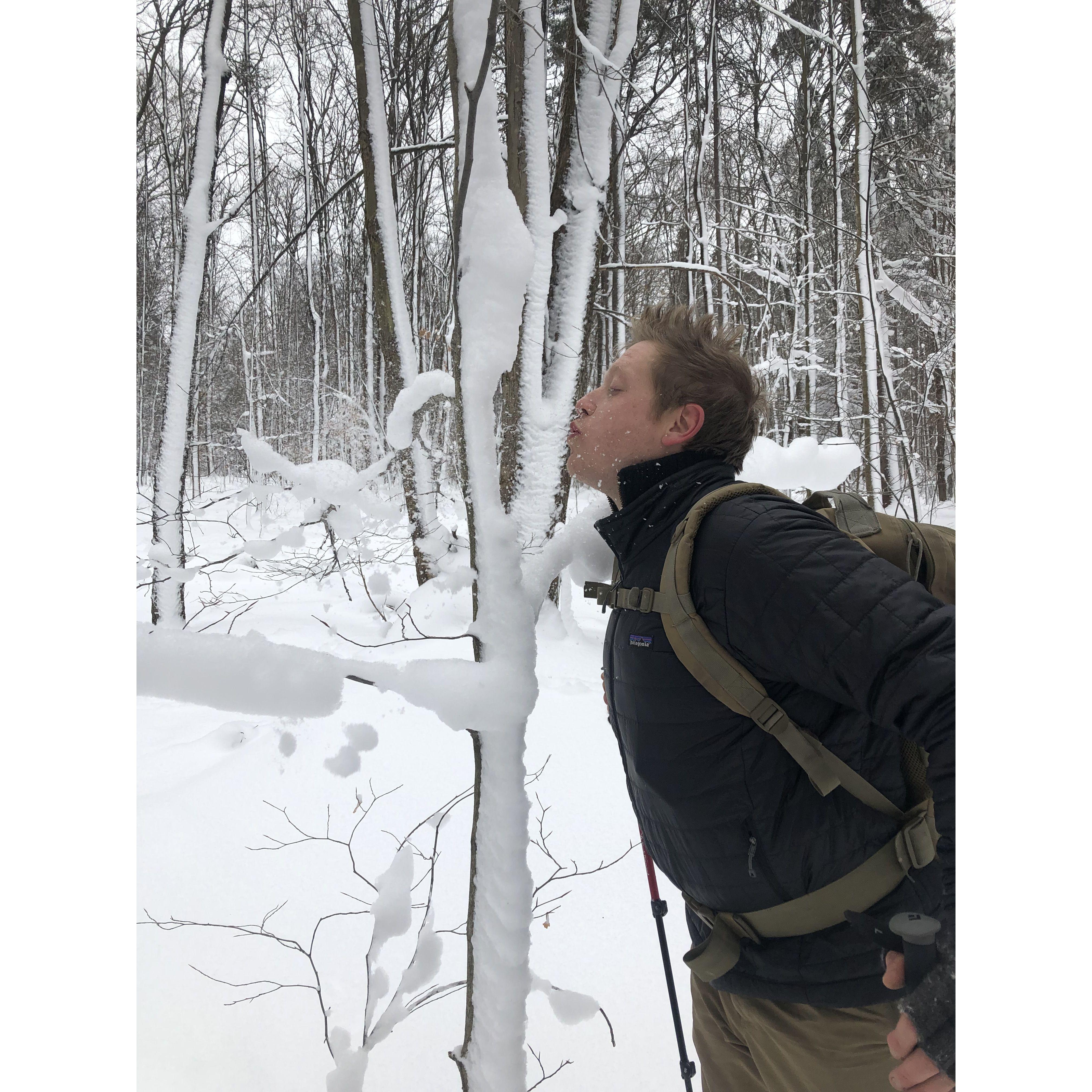 Snowshoeing in the Allegheny's