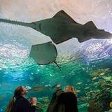 Ripley's Aquarium of Canada