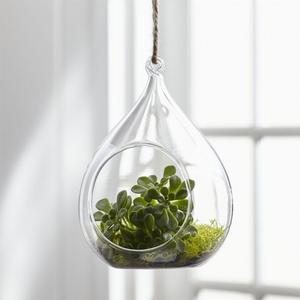 Glass Round Hanging Planter