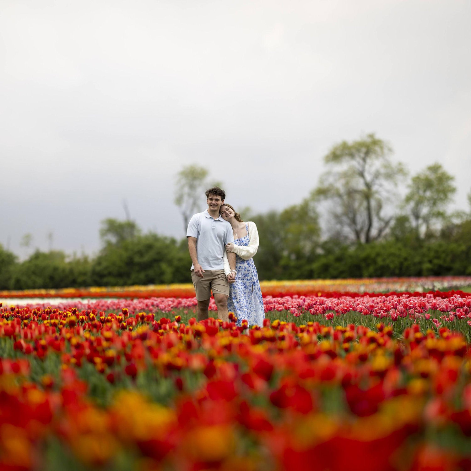 Engagement Day - Tulip Festival at Kuipers Family Farm in Maple Park
