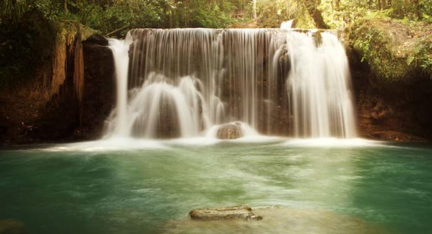 The Wedding Website of Deedra Jegede and Emmanuel Jegede