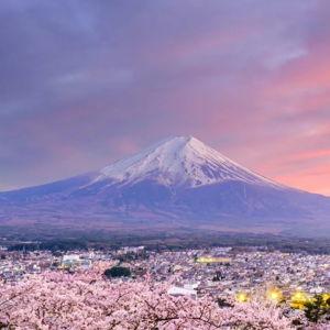Honeymoon to Japan