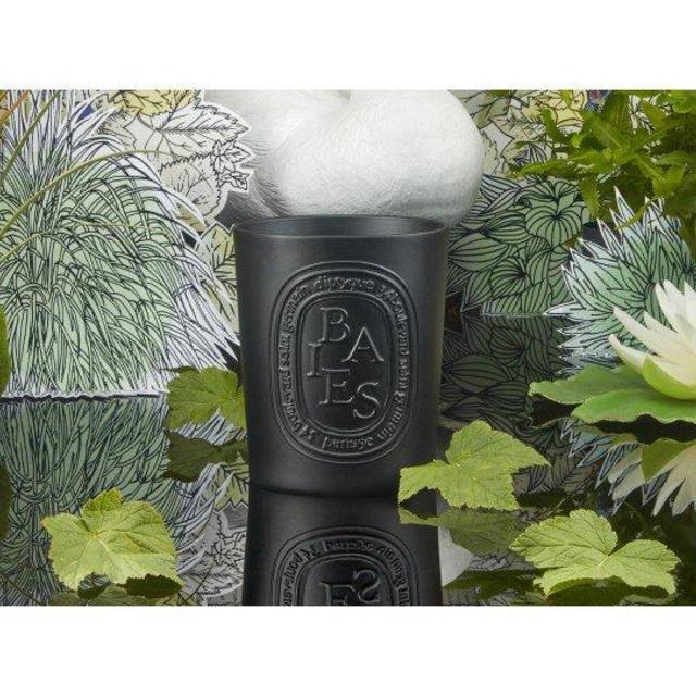 diptyque - BAIES 600G SCENTED CANDLE