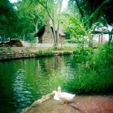 Sam Houston Memorial Museum