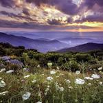 Shenandoah National Park