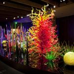 Chihuly Collection