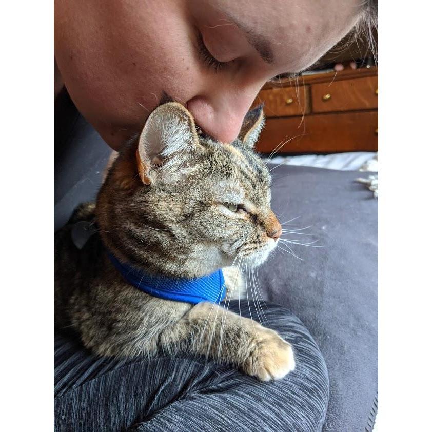 We swear our cats love us.