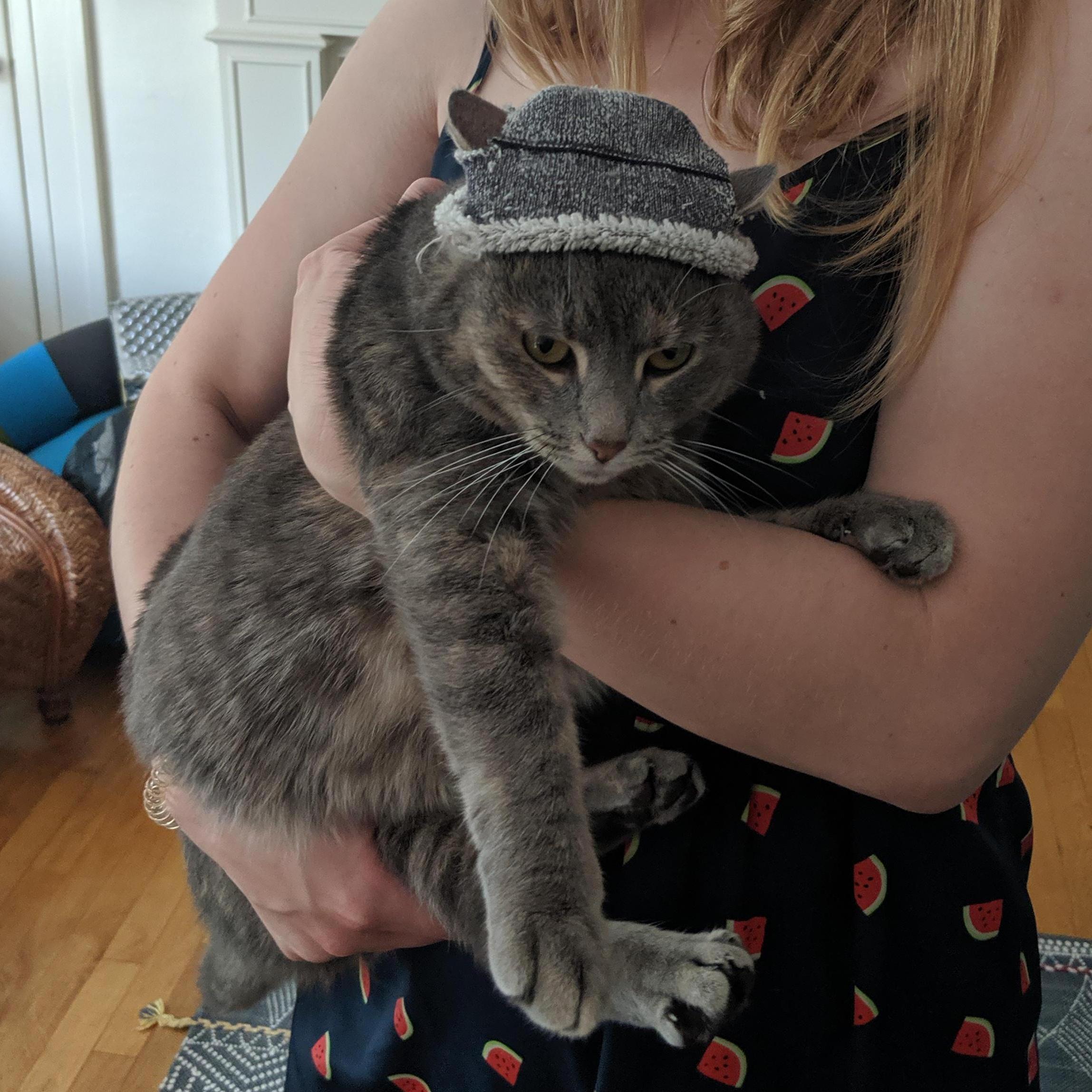 Thanks for my hat Shannon! I've grown to love it.