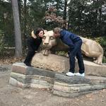 The Nittany Lion Shrine