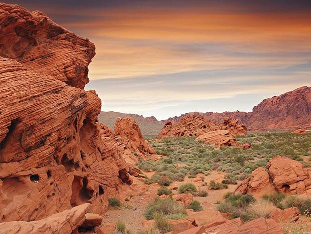 The Wedding Website of Alex Bloom and Danny Monar