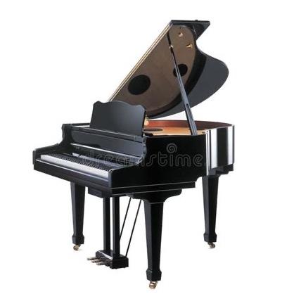 Future Home Piano Fund (Credit Card)