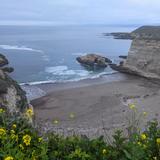 Montaña de Oro State Park
