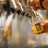 Tribus Beer Co.
