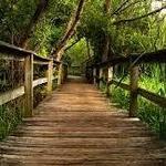 Sea Pines Forest Preserve