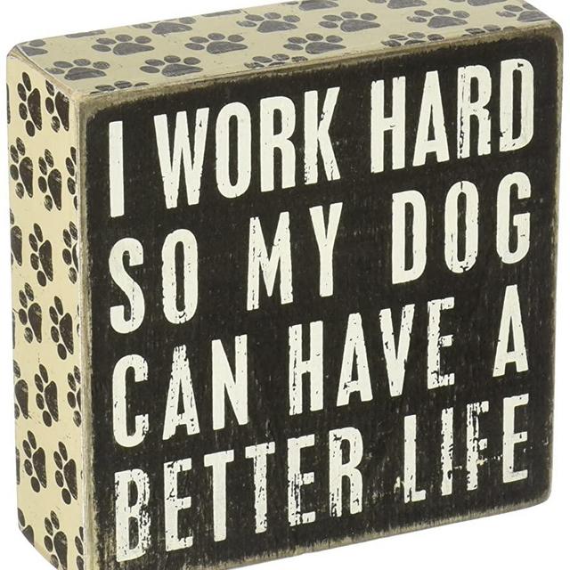 Primitives by Kathy 21490 Pawprint Trimmed Box Sign, 5" Square, Dog Can Have a Better Life