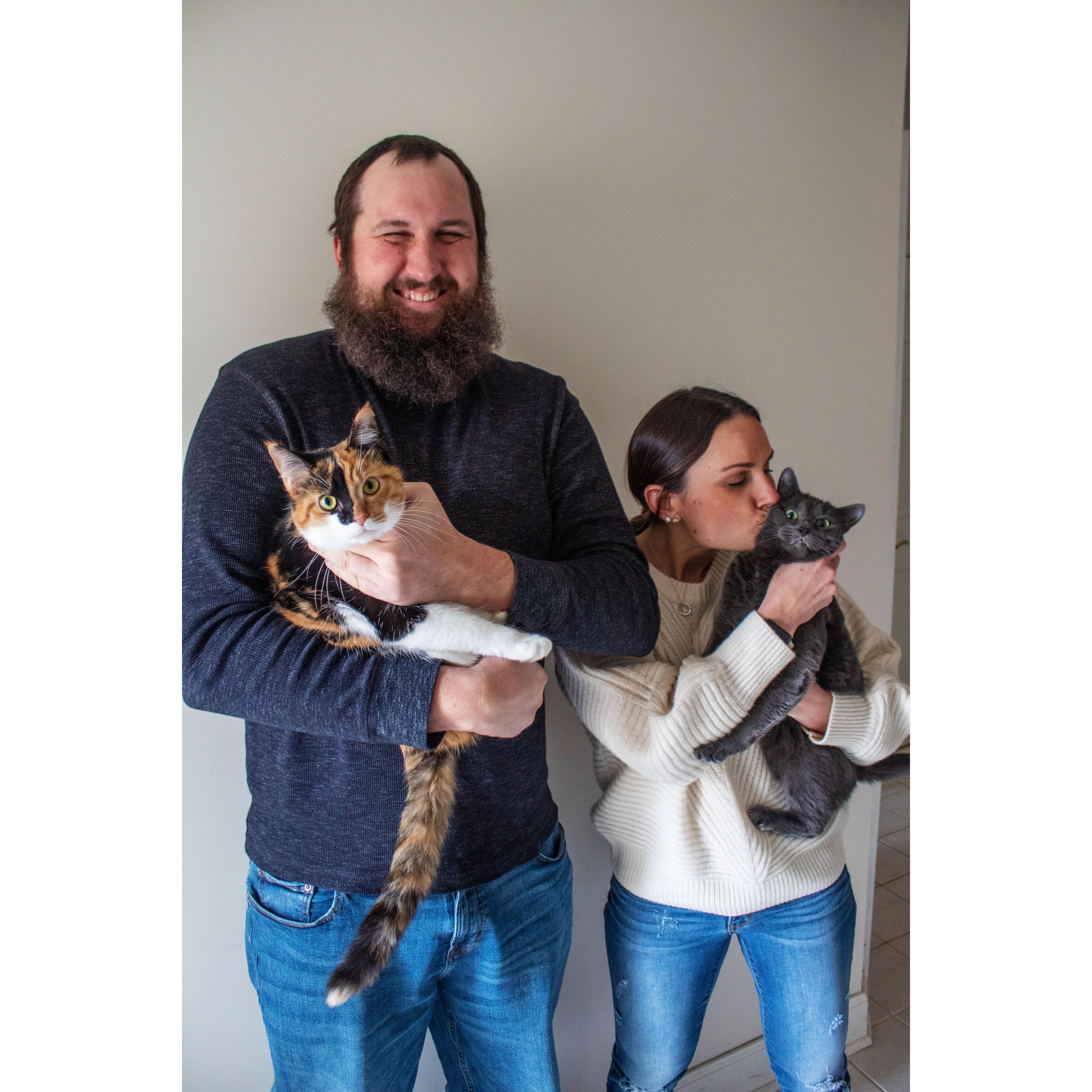 Josh loves cats. And he's now turned me into a cat lover. Meet our two. Clawdrey and Miss Muzzie.
