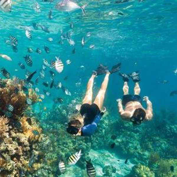 Honeymoon Snorkeling Experience