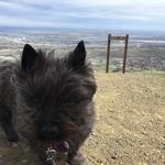 Badger Mountain Trailhead