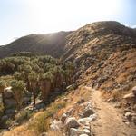 Indian Canyons