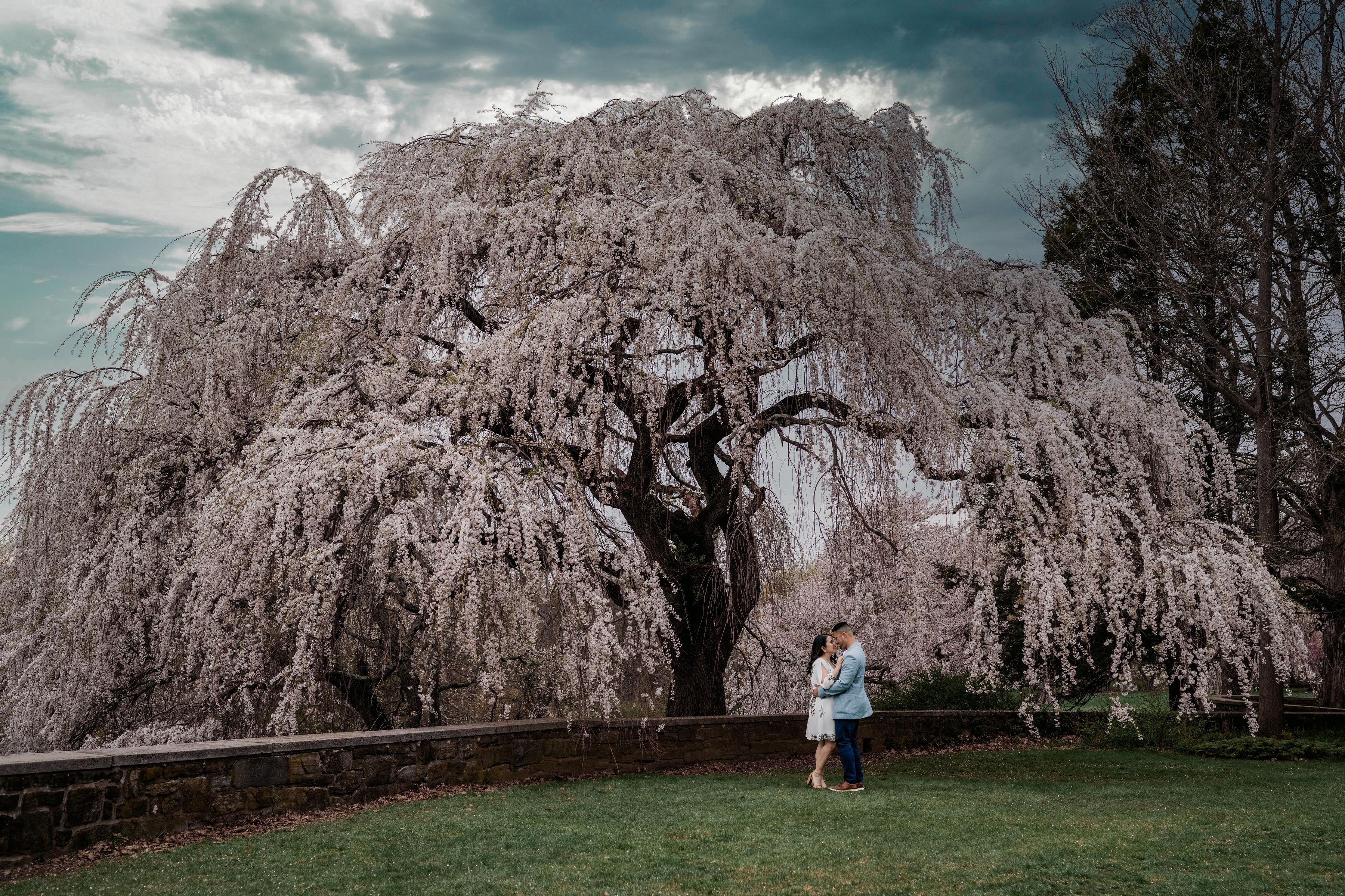 The Wedding Website of Caitlyn Oliveira and Joshua Medina