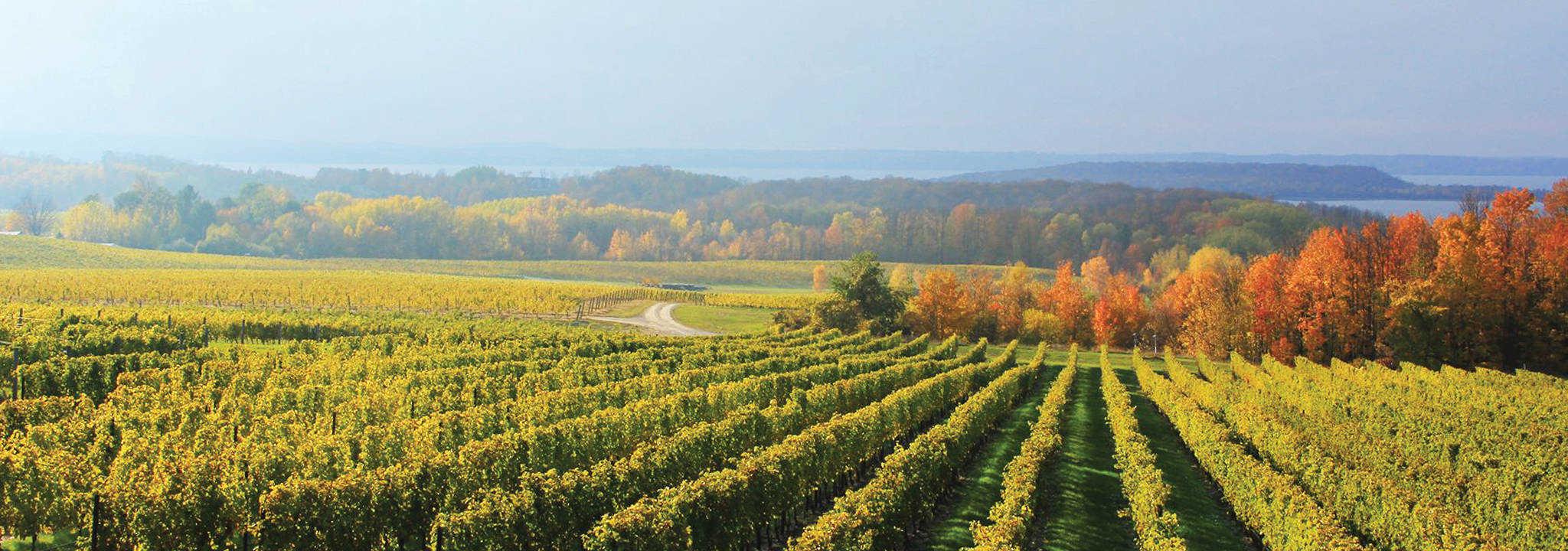 The Wedding Website of Lucy Wildman and Kyle Eggenberger