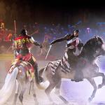 Medieval Times Dinner & Tournament