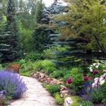 Betty Ford Alpine Gardens