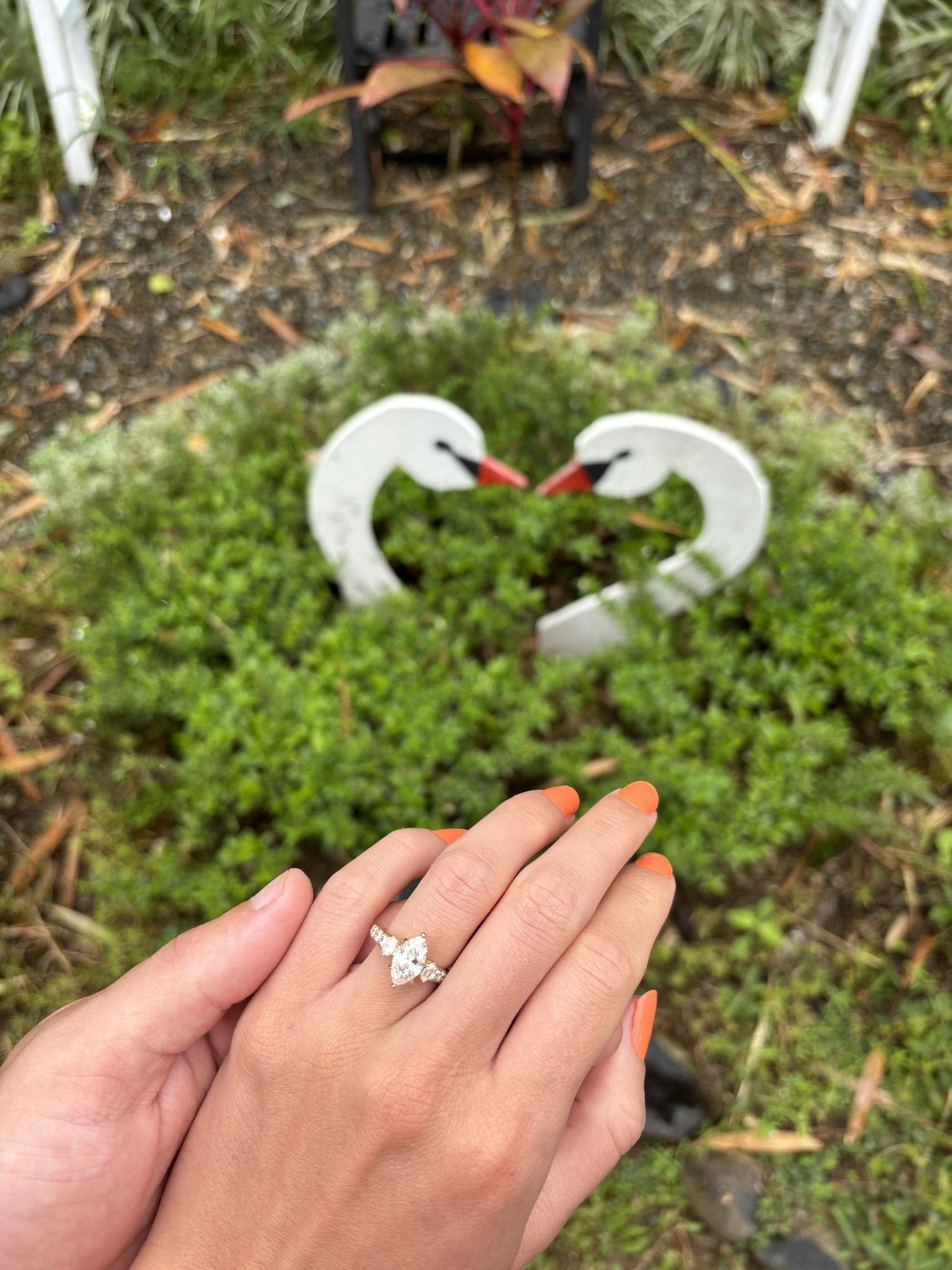 The Wedding Website of Victoria Clay and Zachary Joubert