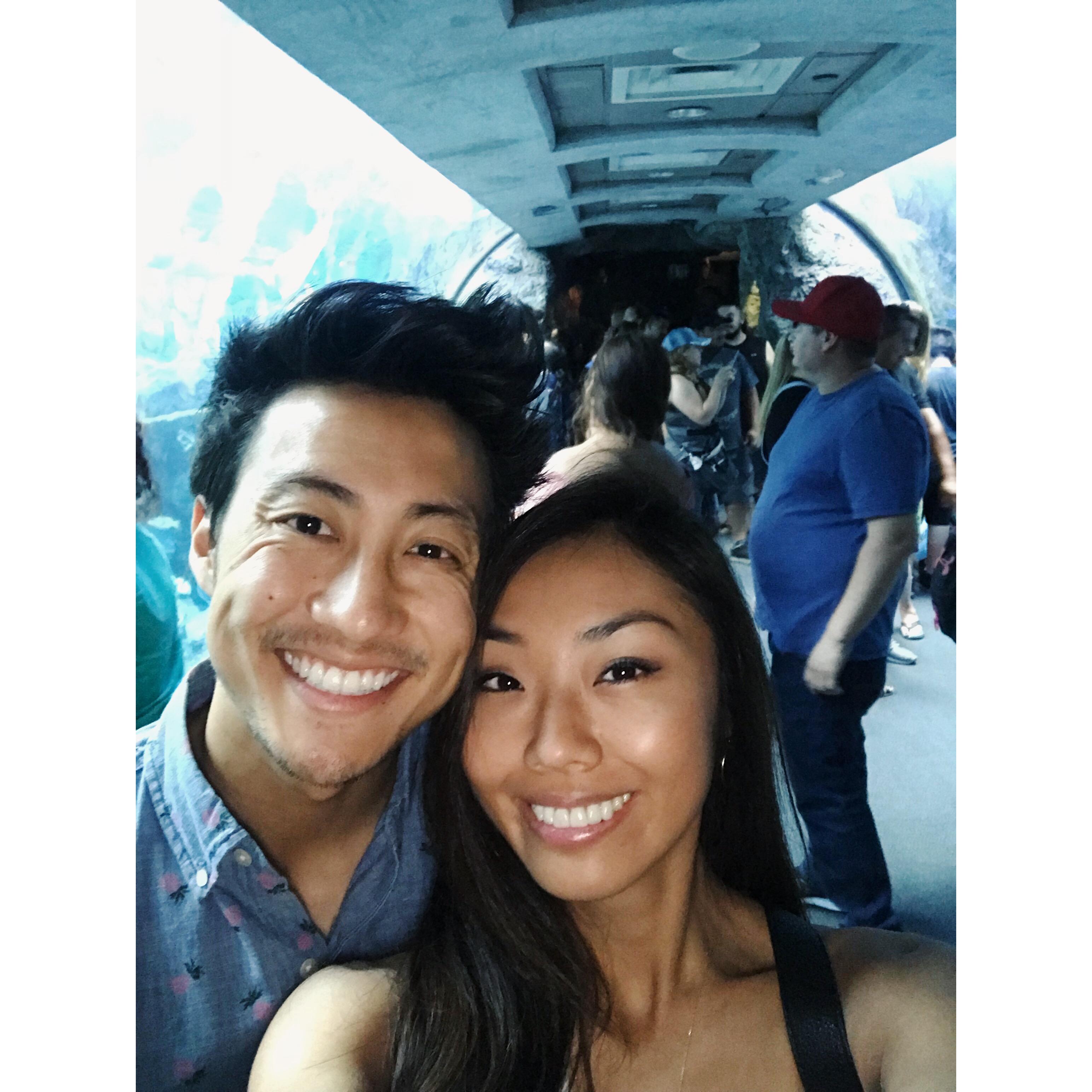 LB Aquarium