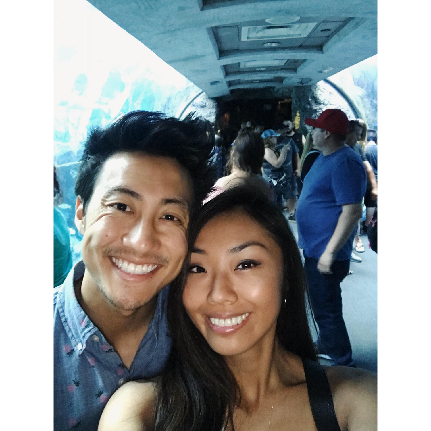 LB Aquarium
