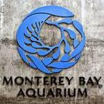 Monterey Bay Aquarium