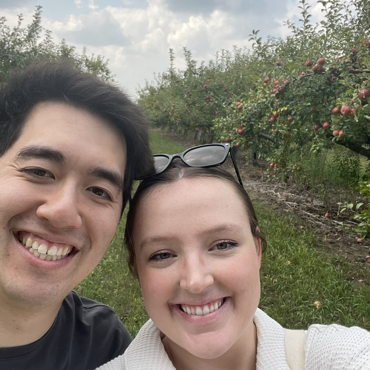 Apple Orchard - September 2023
