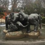 Dallas Zoo