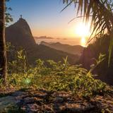 Tijuca Rain Forest Hiking
