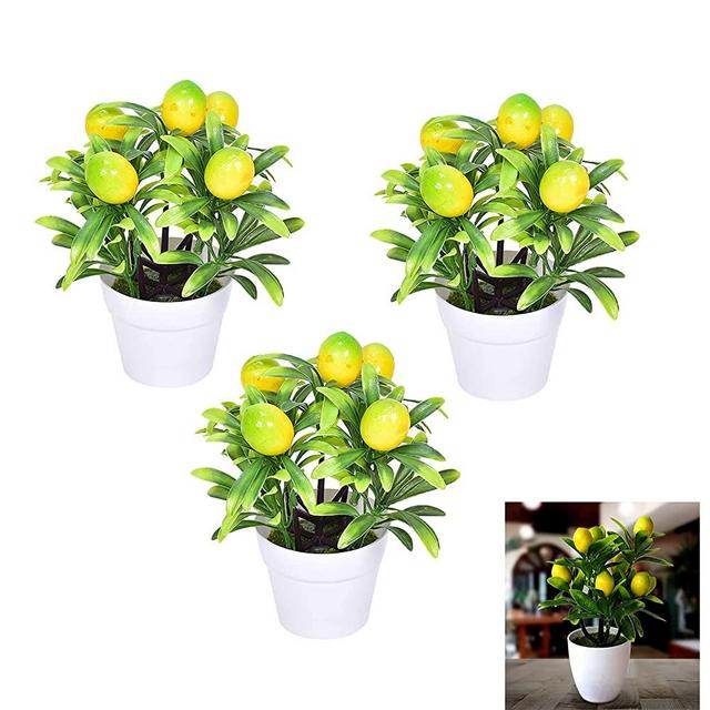 LSFYYDS 9.45 inch Artificial Mini Potted Plants,Artificial Fruit Lemon Tree Bonsai Fake Greenery White Plastic Pot, Potted Plants Artificial Fruit for Home Table Desk Office Bathroom Decor (3 PCS)