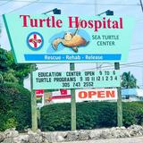 Turtle Hospital