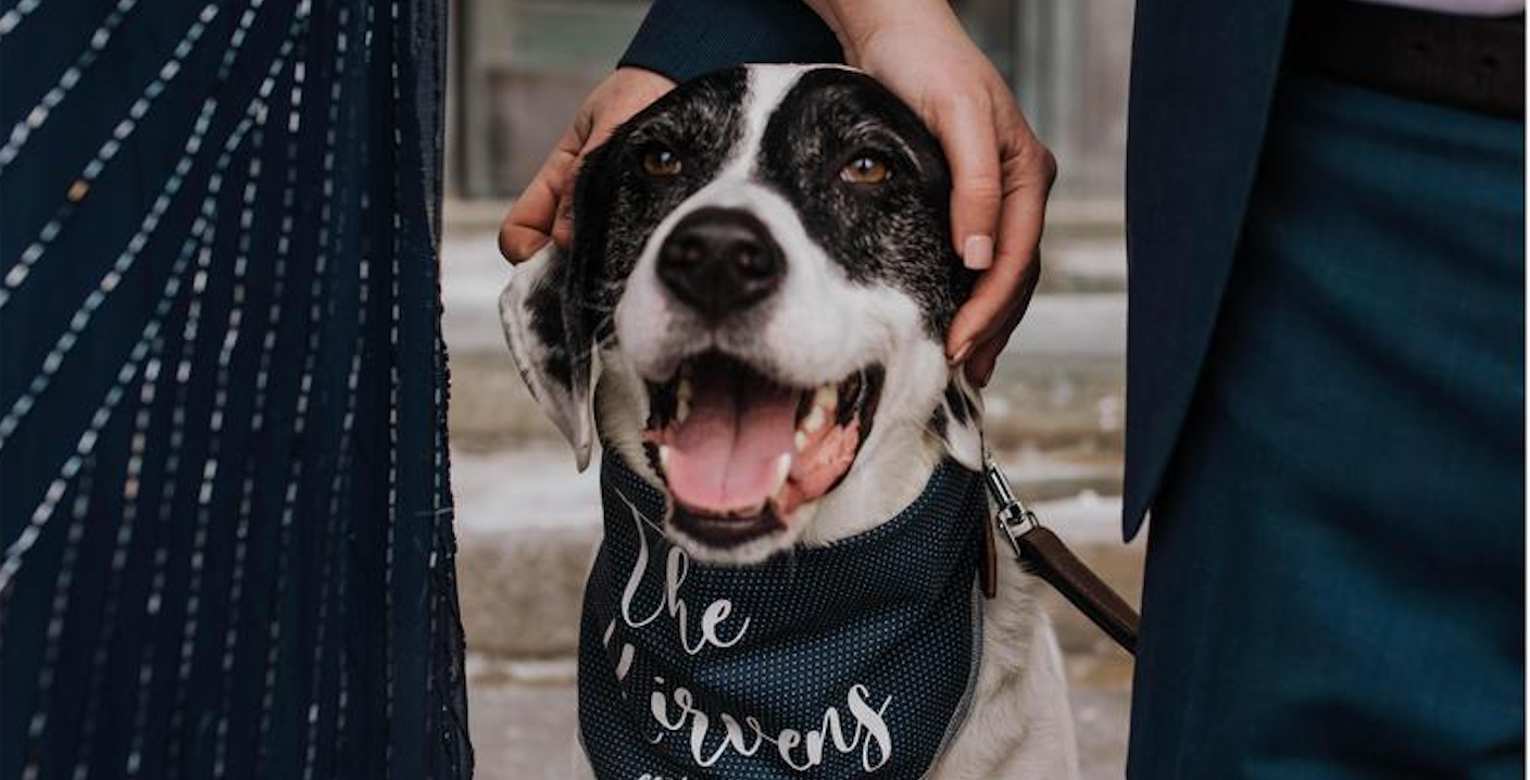 5b1dcb91-c19c-4150-9ddf-25493cf97a12