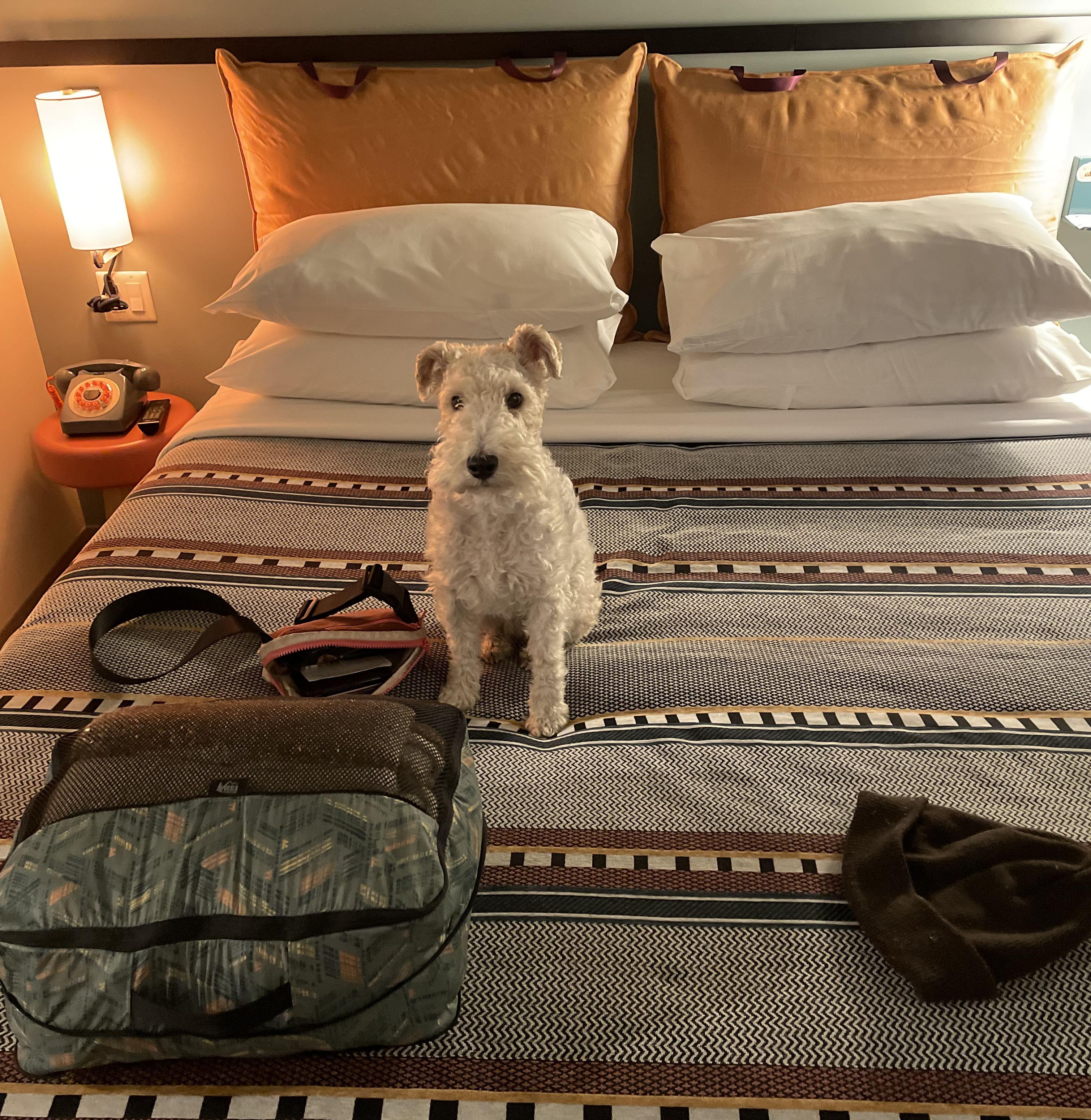 The Wedding Website of Anne Warzecha and Samuel Siffert