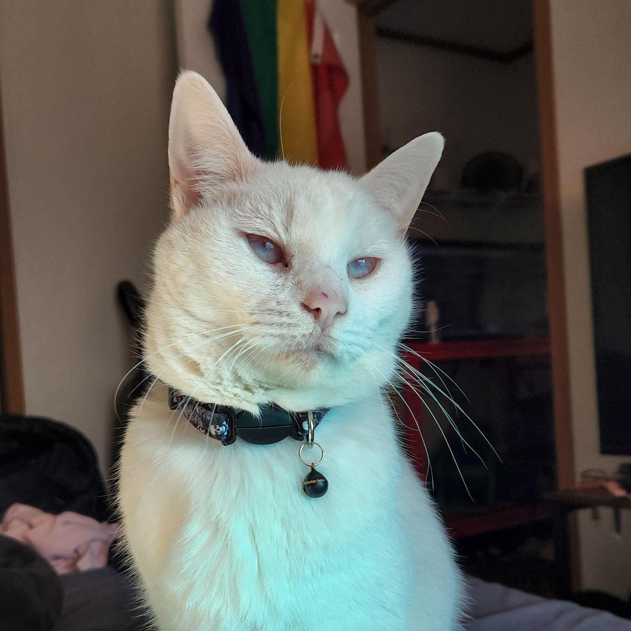 Yuki!