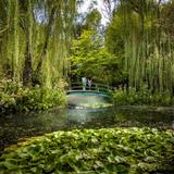 Grounds For Sculpture