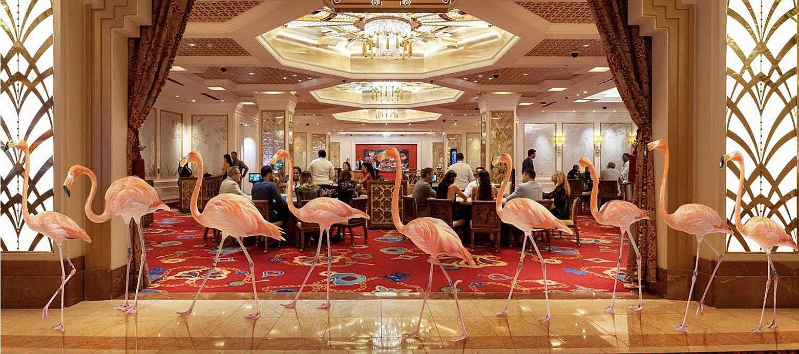 The Wedding Website of Sarah Malone and Dakota Mitchell